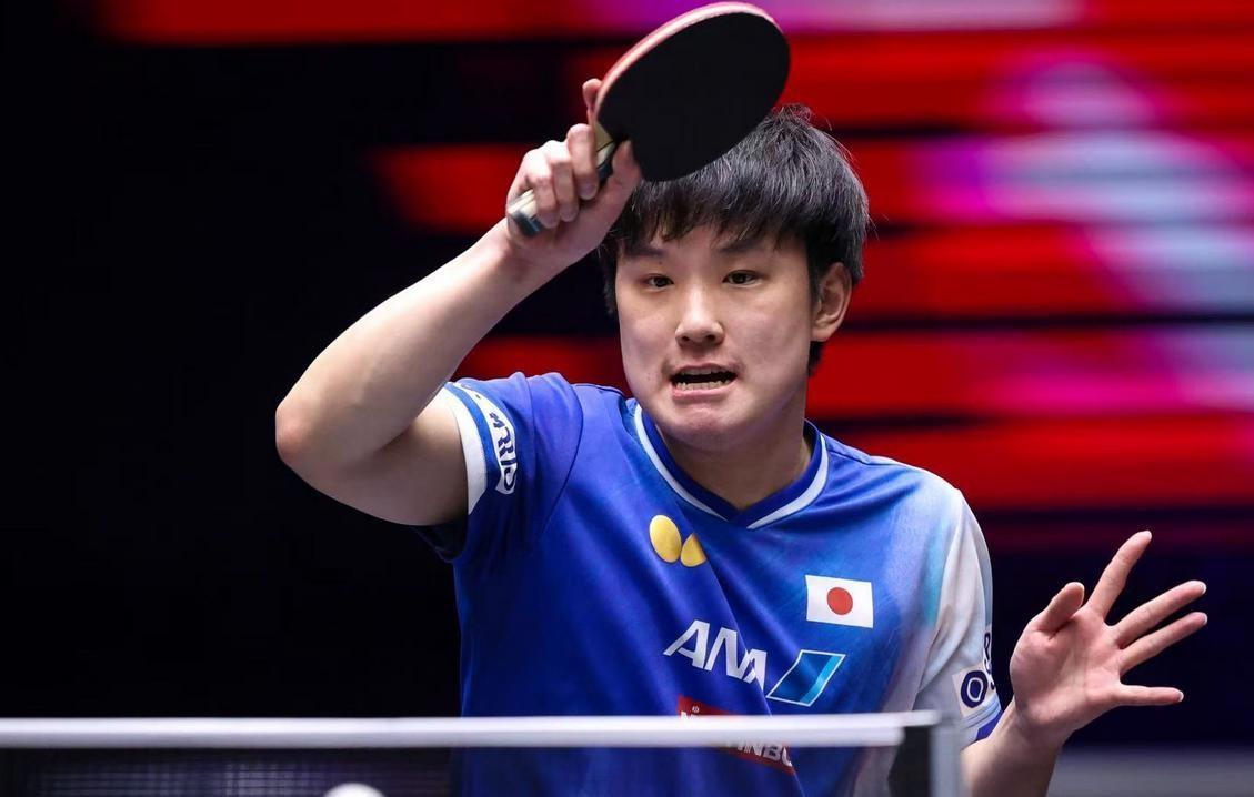 爱游戏在线-奥地利队横扫英格兰队，张本智和状态火热