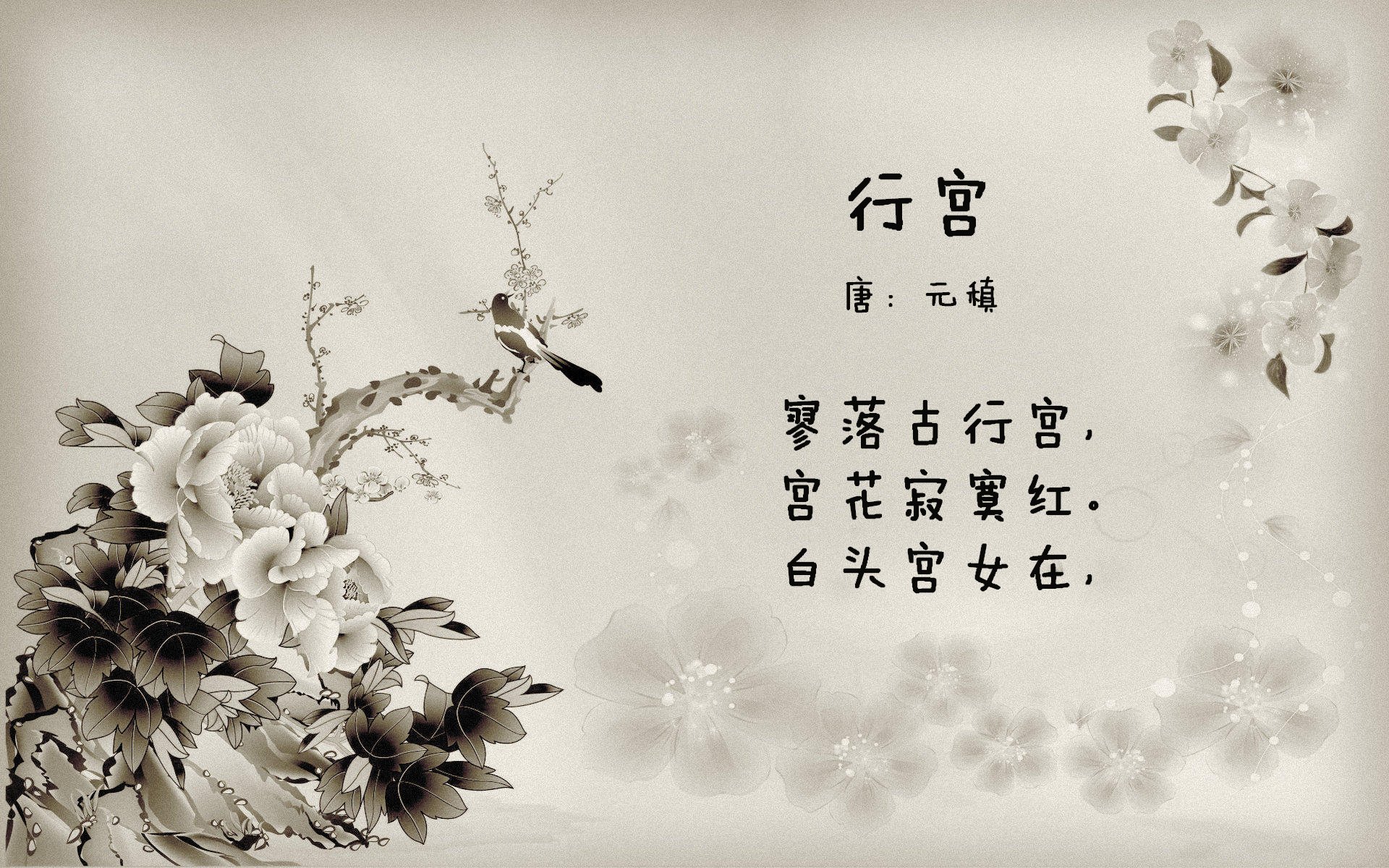 绝对统治下的天才一击，红牛如何碾压梅赛德斯，诺里斯又怎样成为关键胜负手？