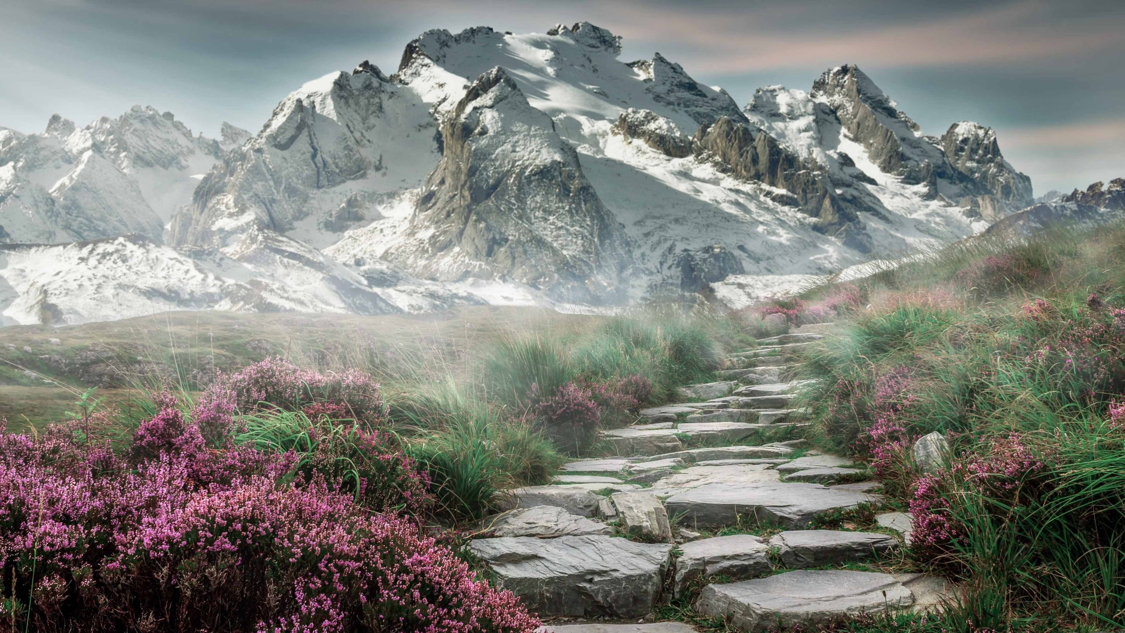 传奇回归！纳达尔在网球殿堂力克美网王者，点燃赛场热情