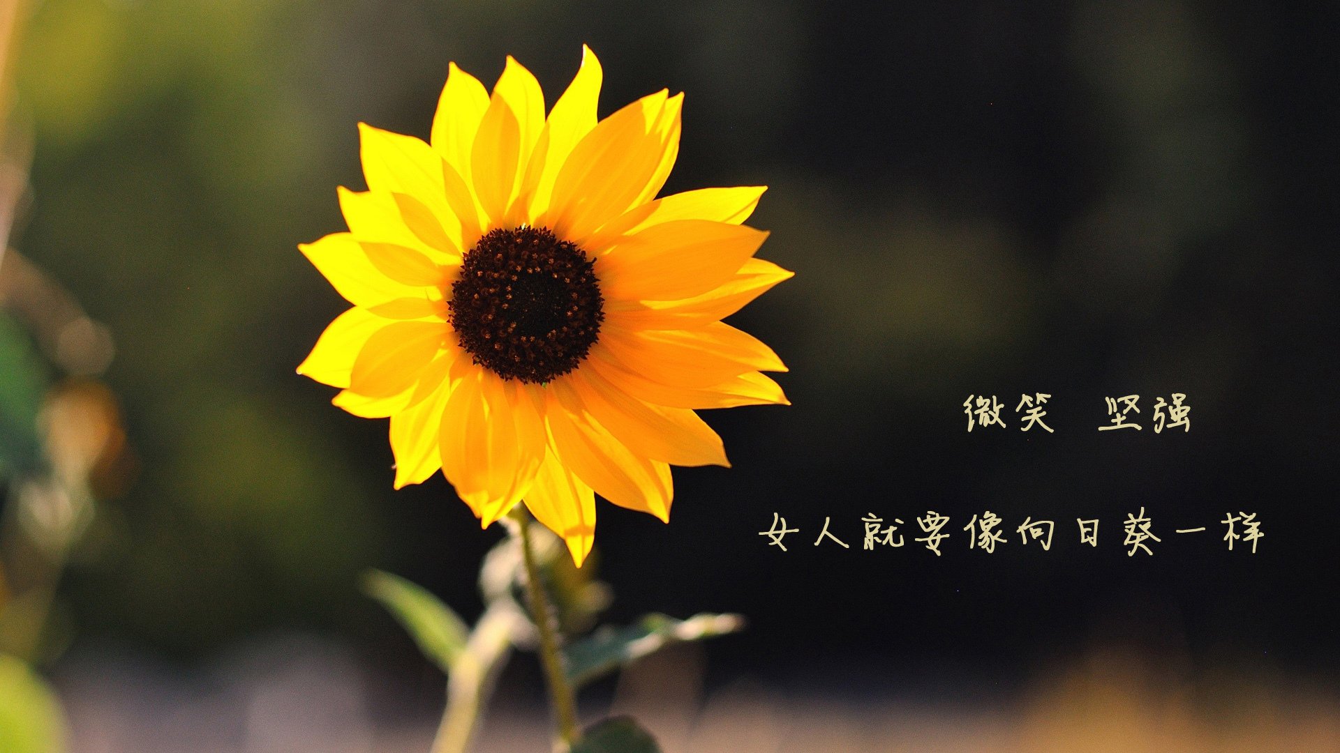 爱游戏娱乐-跨越半球的意外主角，卡塞米罗一锤定音，新西兰与埃及之战未战先熄