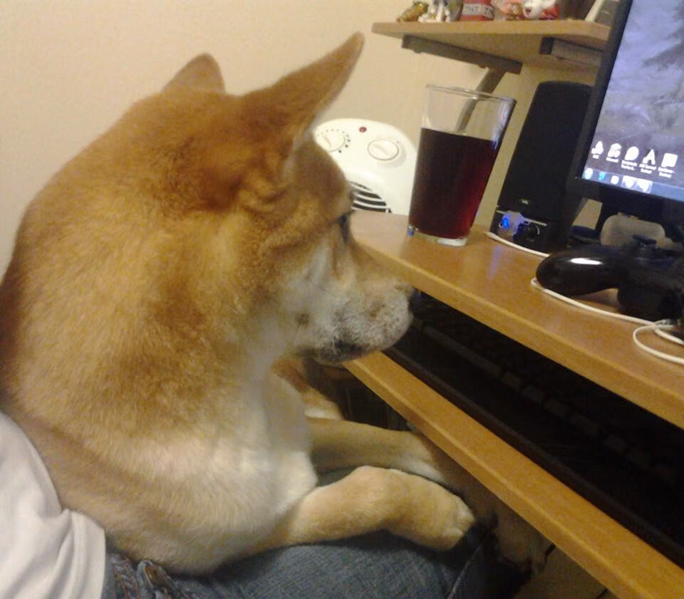 欧洲棋盘上的双重棋局，挪威的冷静布局与莫德里奇的金球时刻