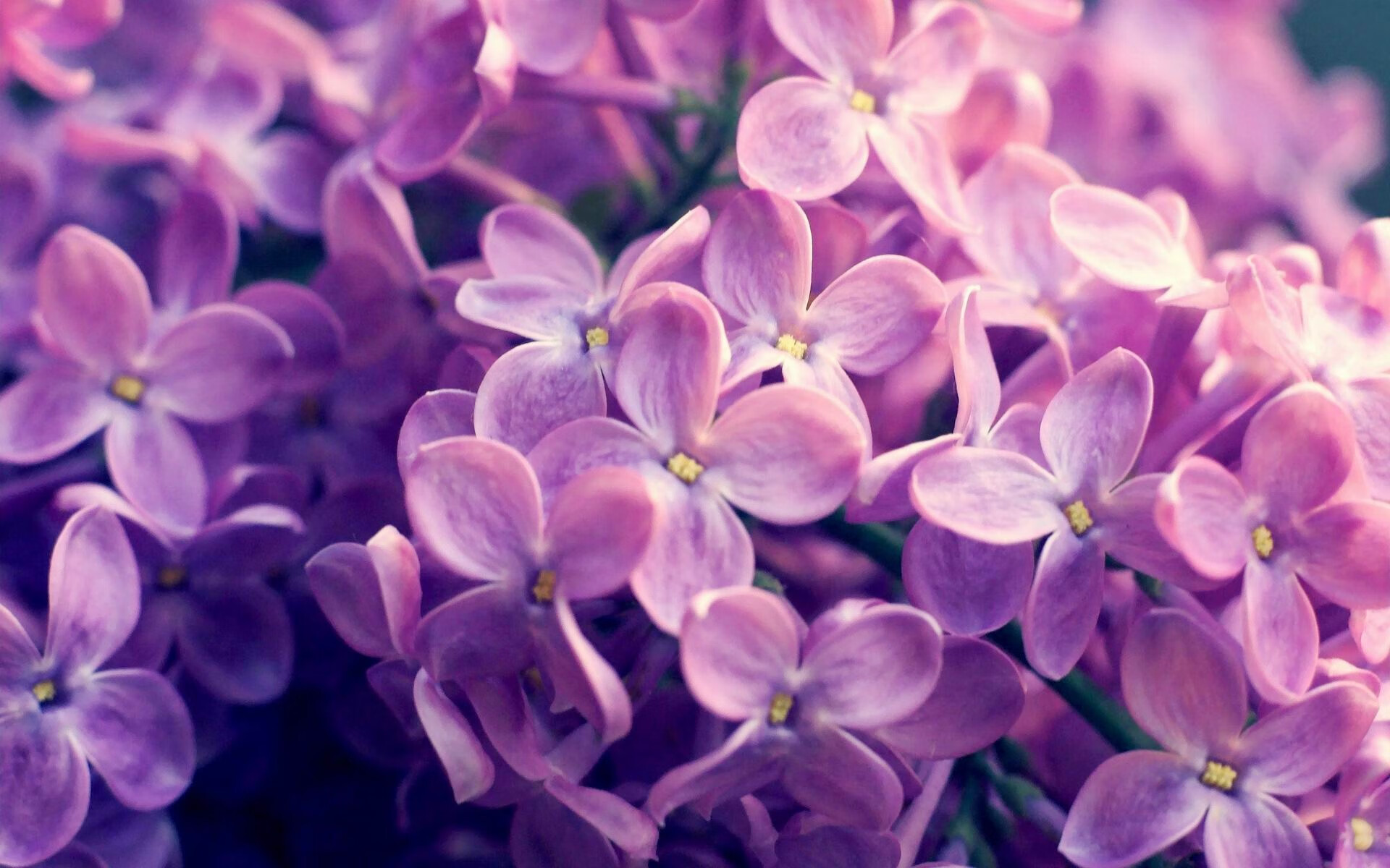 阿克，季后赛的聚光灯只为大场面而亮