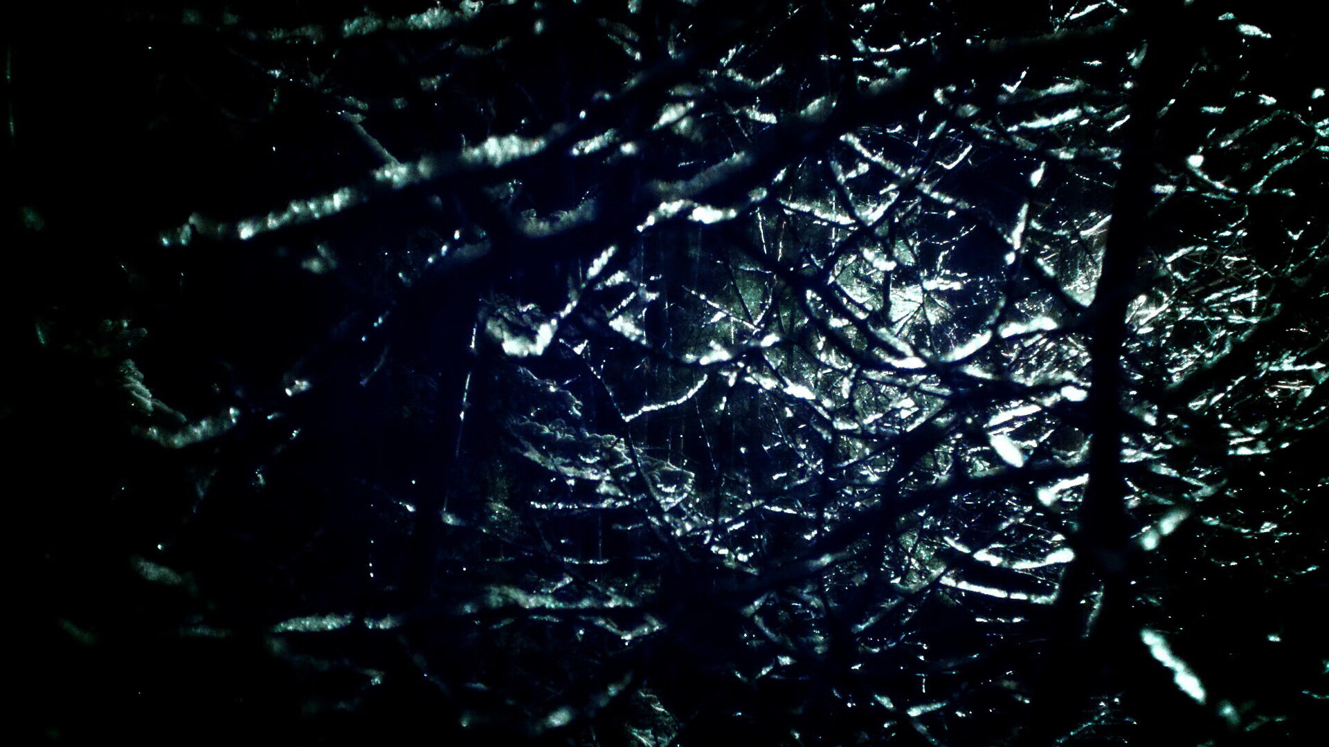 爱游戏tv-F1年度争冠之夜，迪马利亚如何以跨界英雄之姿赢得全场最佳