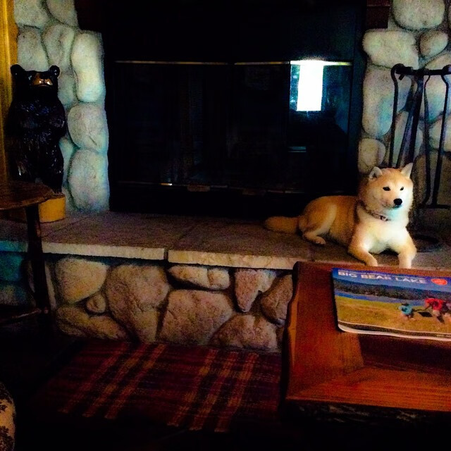 爱游戏入口-欧冠决赛焦点战，墨西哥美洲队碾压马德里竞技，创造历史奇迹