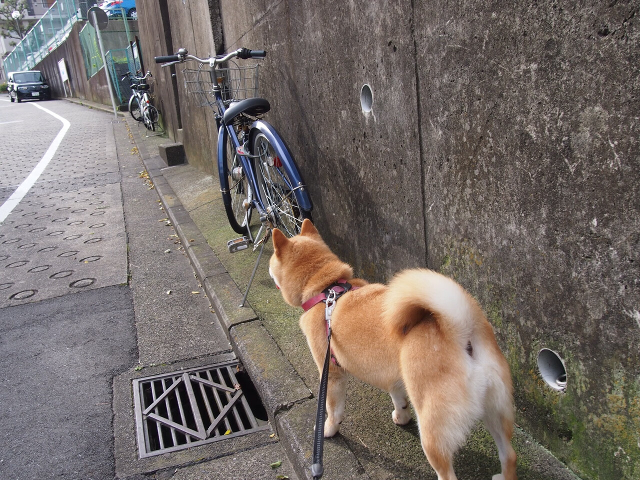 爱游戏大厅-技术流的降维打击，皇家社会压制洪都拉斯，门迪成为关键先生