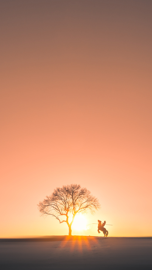 爱游戏tv-从沉默到轰鸣,班凯罗的制胜一跃与国王的战术交响