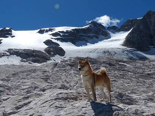 掌中风暴，马克西一役定江山，灰熊闪电战撕裂撕裂之城