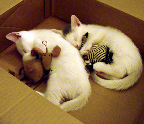 爱游戏入口-体育的唯一性，当马里拉开比分，伊布接管比赛