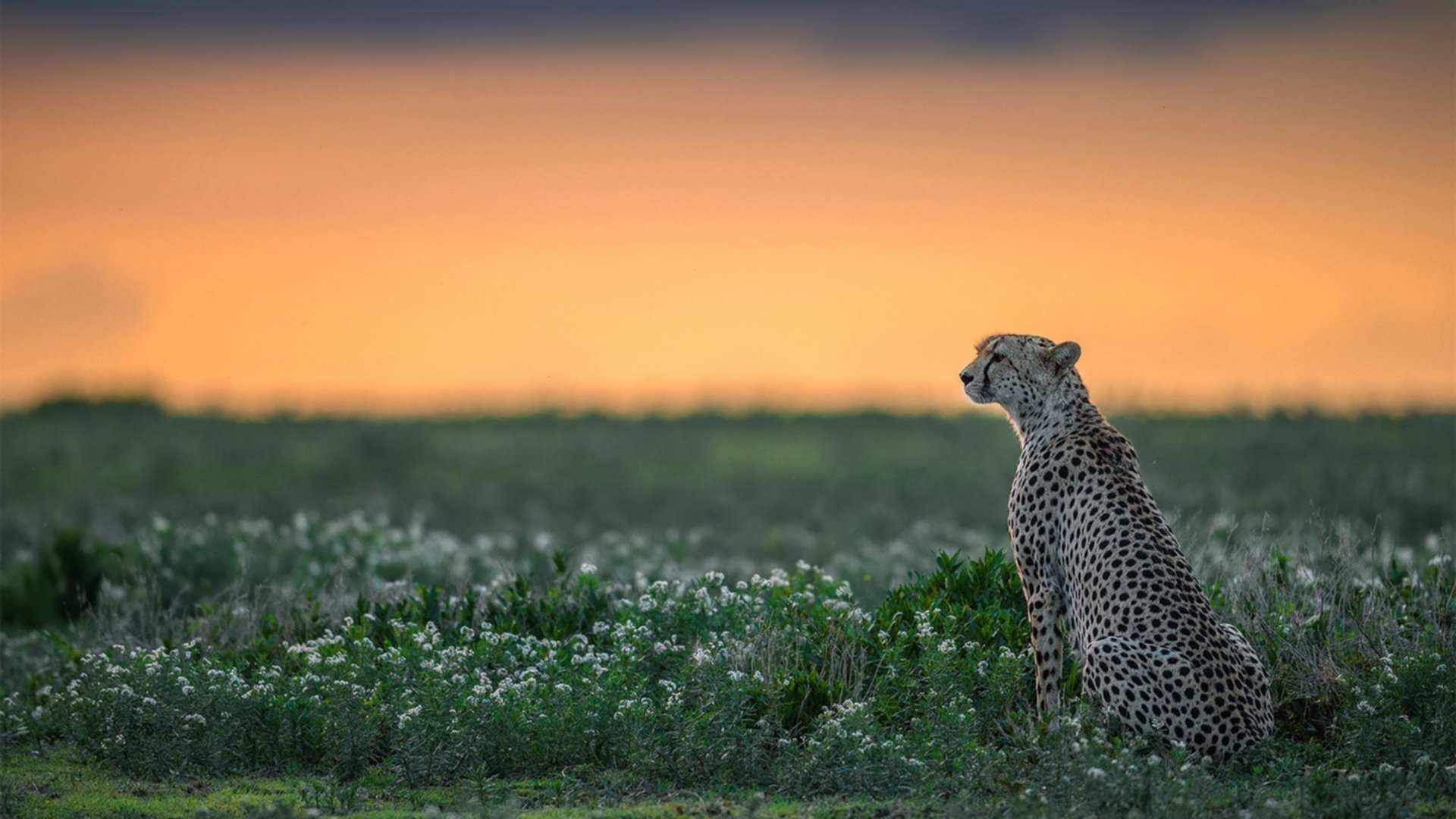 乔治之战，37年前冰人冻结火箭的一秒，如何定义今日的关键时刻？