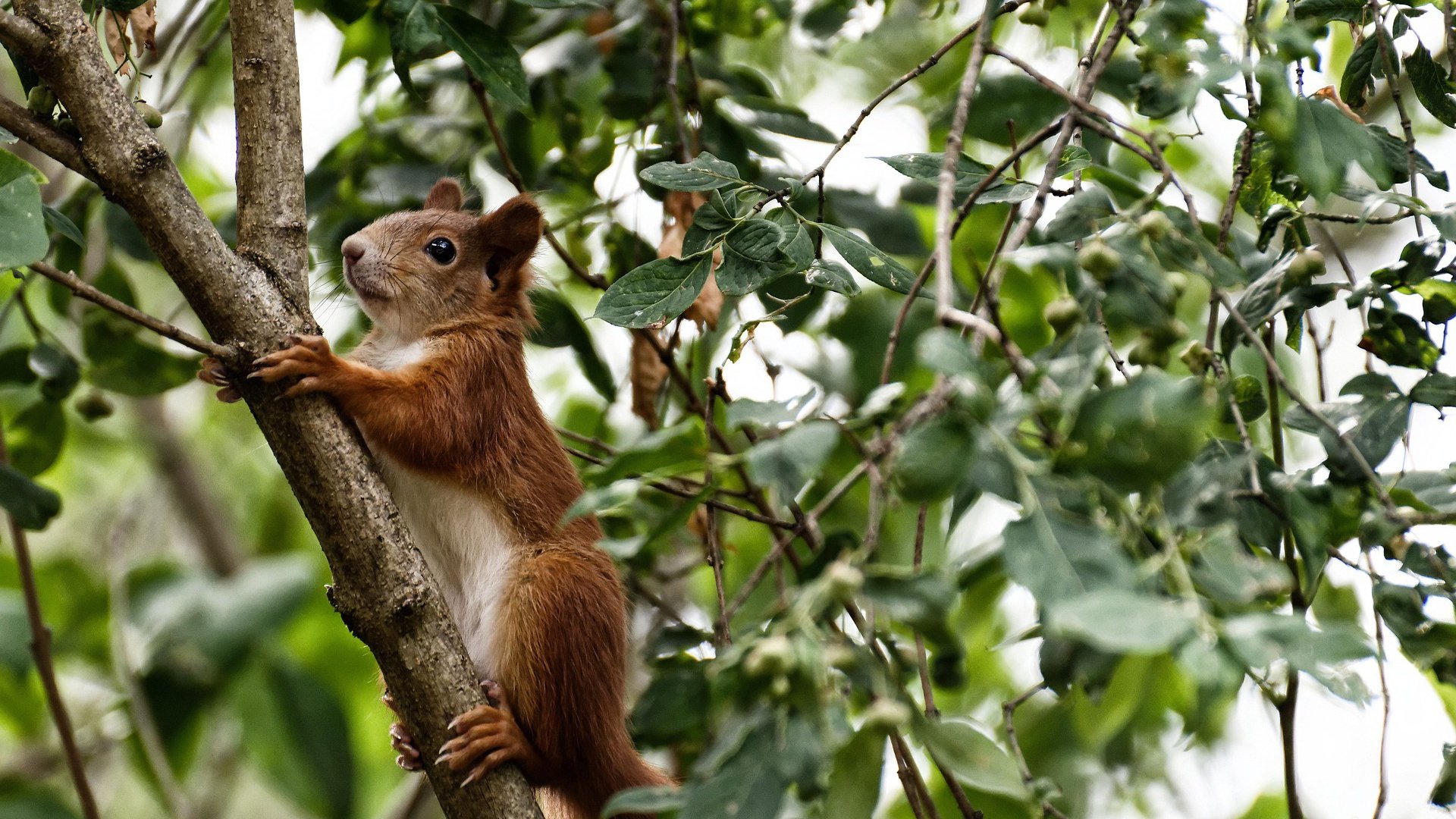 爱游戏娱乐-黄喜灿的证明之战，卡塔尔对阵安哥拉焦点战全解析