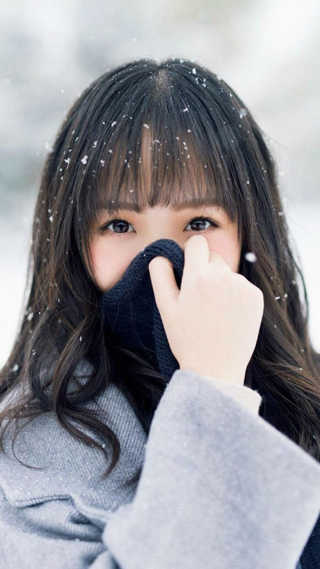 孤星耀世，2026世界杯巅峰对决，印度完胜卡塔尔，坎塞洛完成致命一击