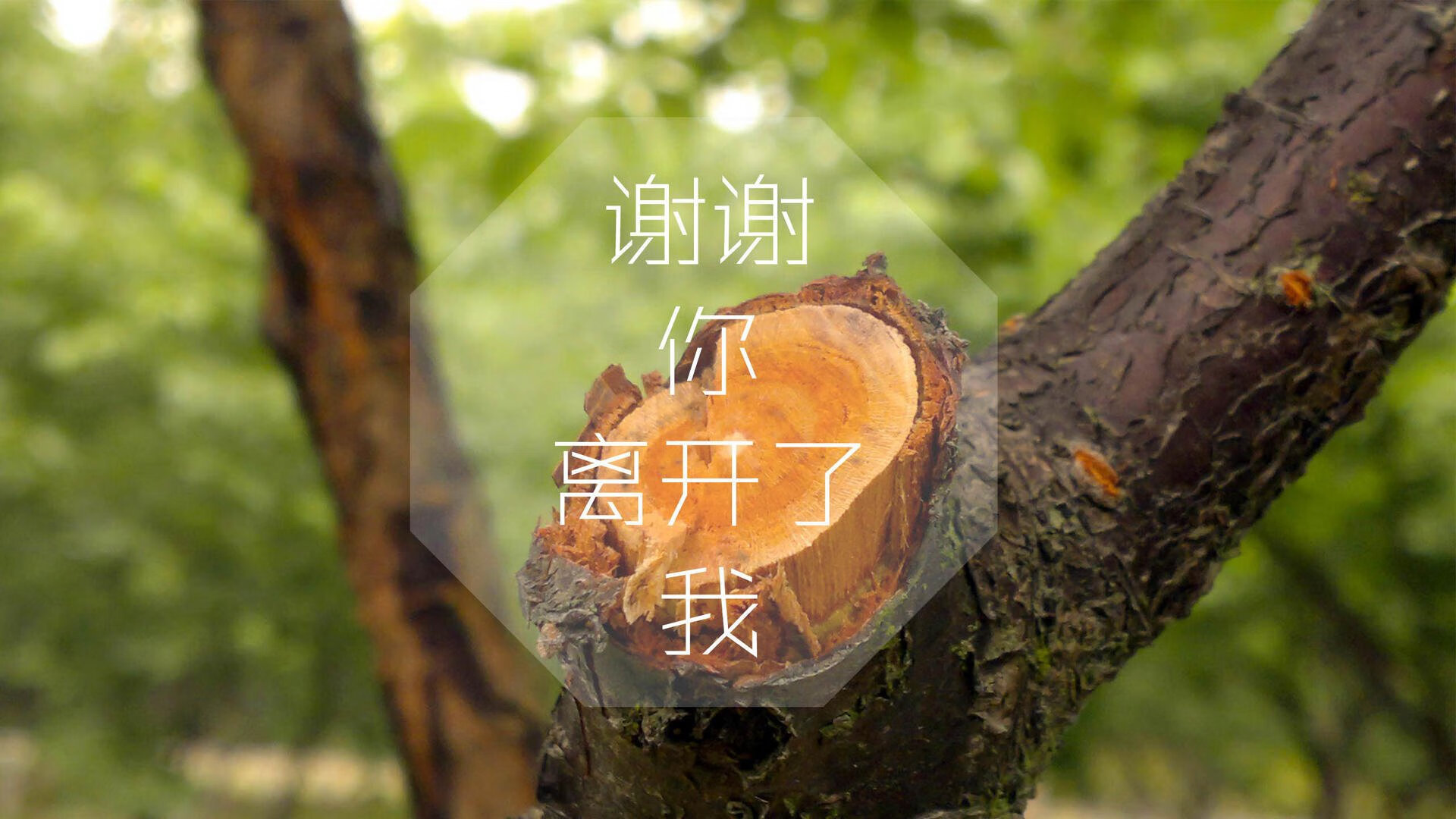 B组暗战,当赤道之鹰遇见非洲雄狮,奥斯梅恩用一瞬流光撕开僵局